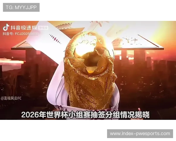 抖音海外版上线世界杯互动功能，增强球迷参与感