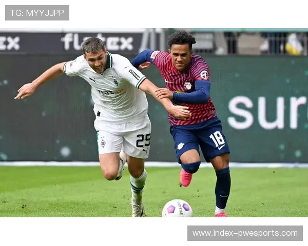 德甲俱乐部股票表现：多特蒙德股价上涨